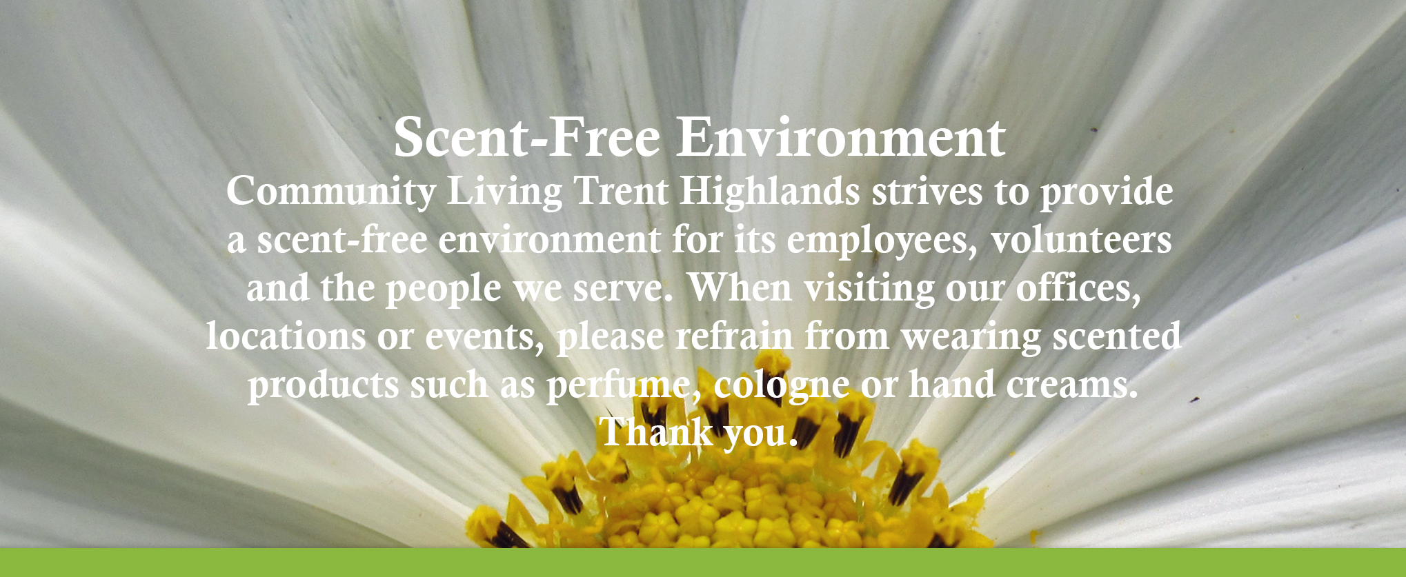 Scent-Free Environment